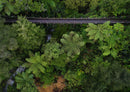 Hunua