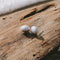 Silver Perle Grey Keshi Pearl Stud Earrings