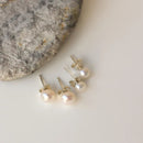 Silver Perle 4mm Fresh Water Pearl Stud Earrings